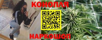 индика Шелехов