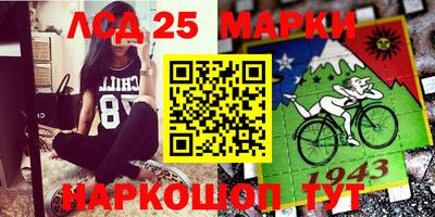 индика Шелехов