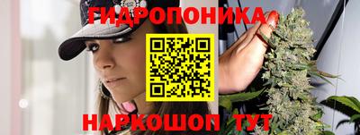 индика Шелехов