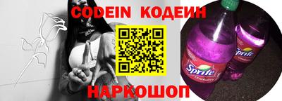 индика Шелехов
